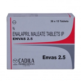 ENVAS 2.5